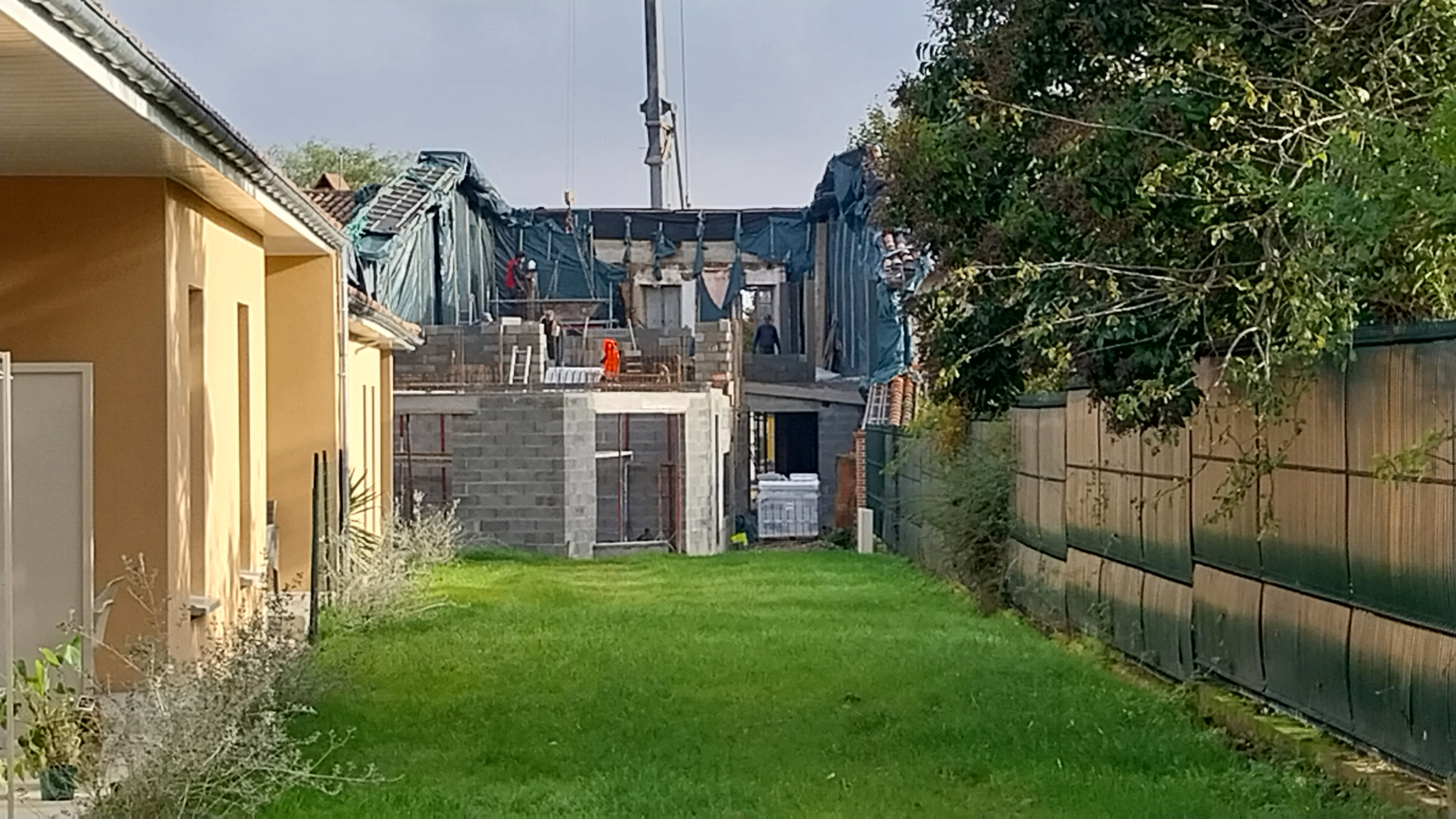 20241114_100545.jpg